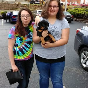 Meet your Posher, Diane